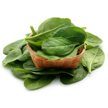spinach (11)-2498966-61710.webp